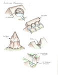 erosionalfeatures_alpineglaciers (2) by John J. Renton and Thomas Repine