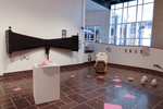 The Museum of Queer Curiosities (Installation View) by Feliks RK Pyron