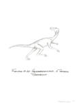 Hesperosuchus by John J. Renton and Thomas Repine