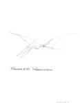 Pteranodon by John J. Renton and Thomas Repine