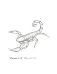 scorpion by John J. Renton and Thomas Repine