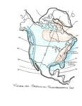Ordovician_paleogeographic_map by John J. Renton and Thomas Repine